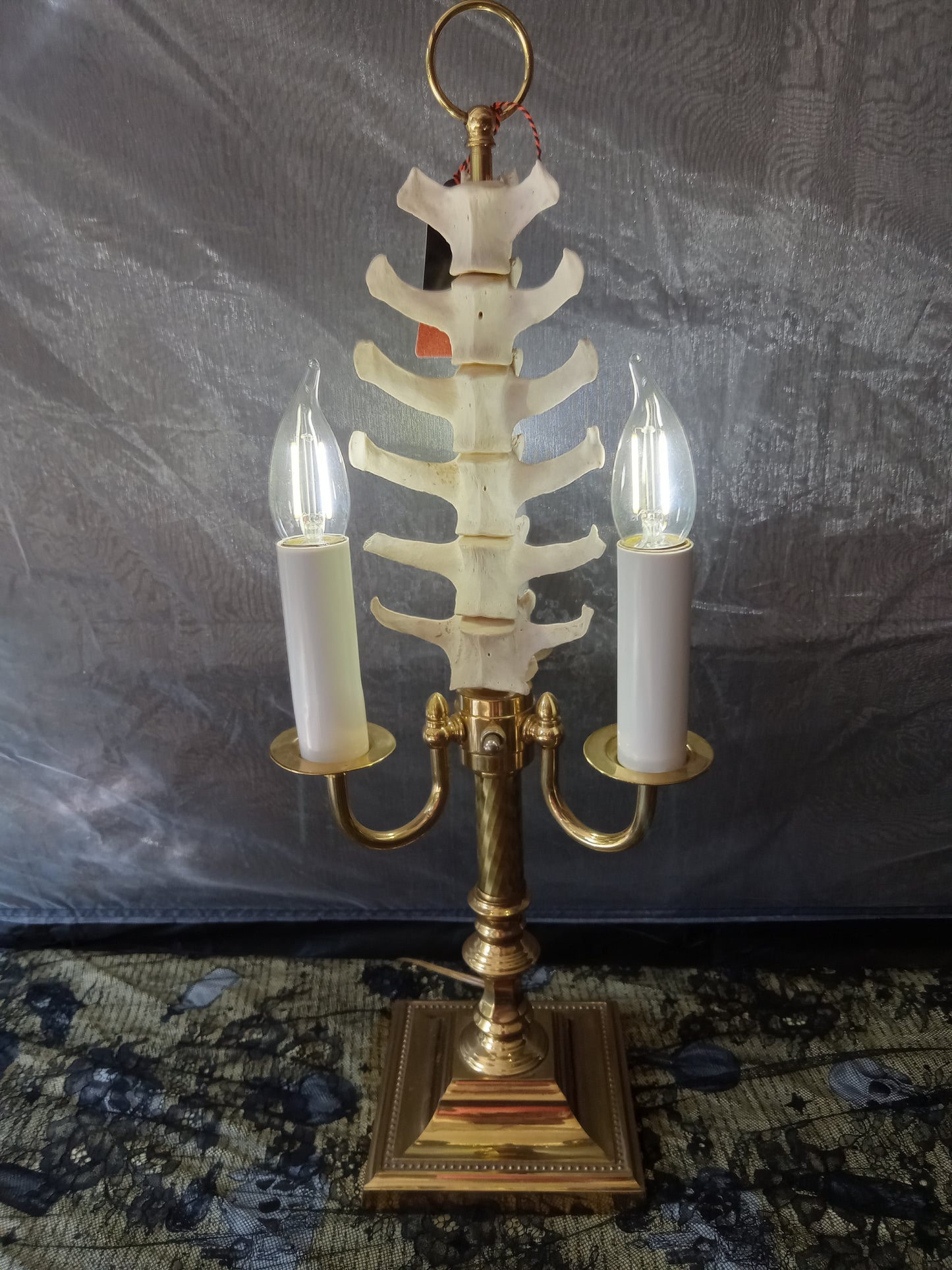 Goat Spine Desk Lamp