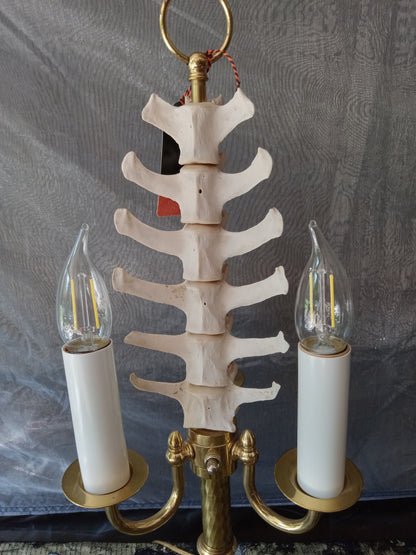 Goat Spine Desk Lamp