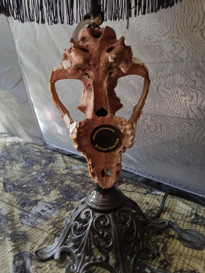 Copper K9 Skull Lamp