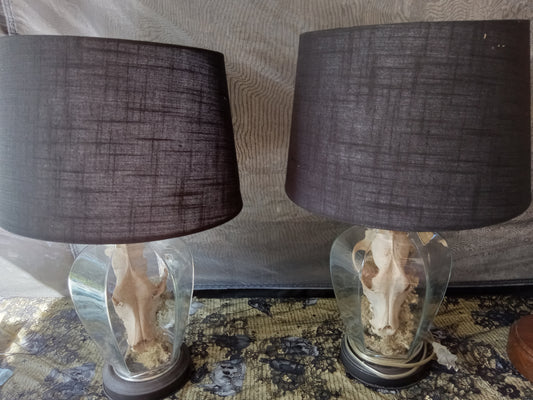 K9 Skull Lamp Set