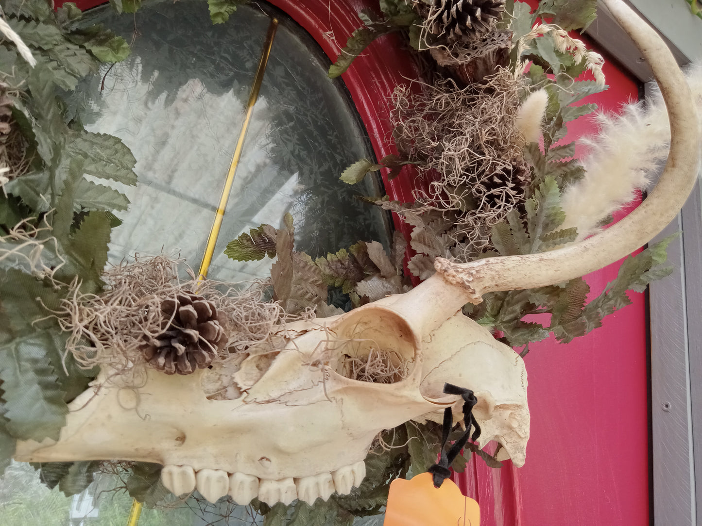 Buck Skull Wreath