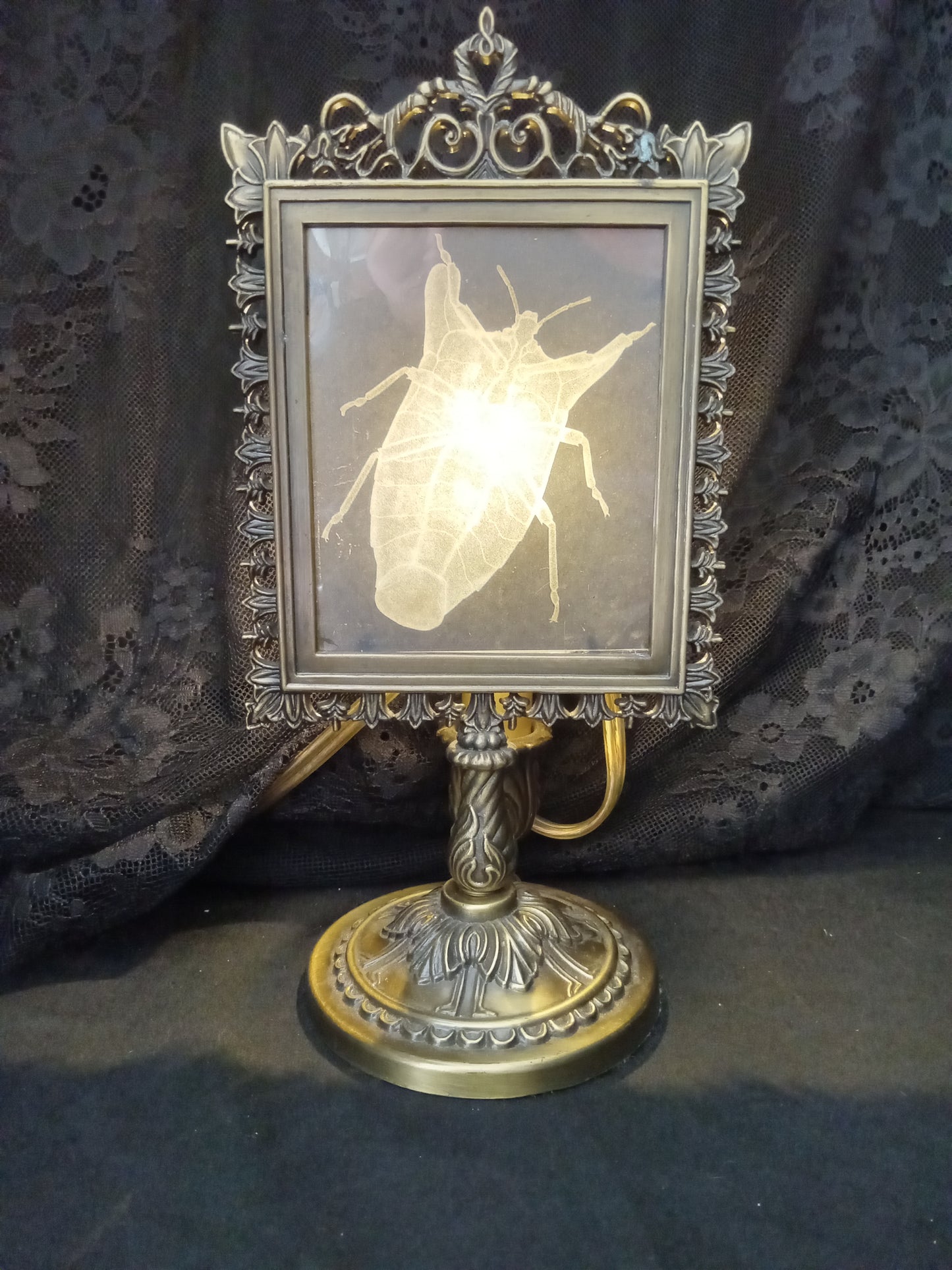 Lantern Fly Night Light