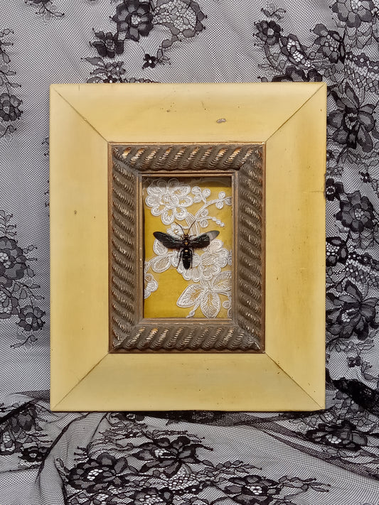 Giant Wasp Framed