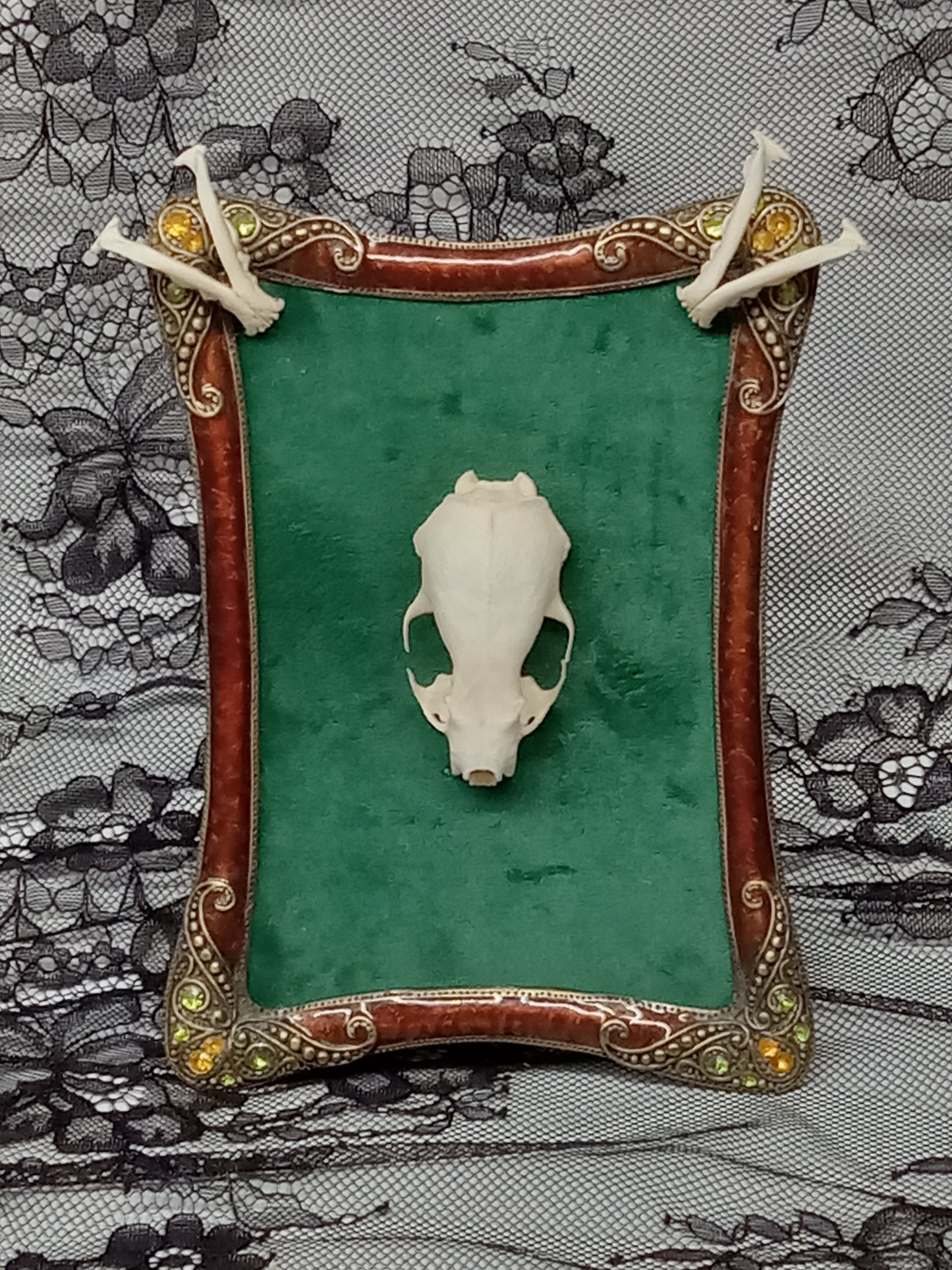 Mink Skull Framed